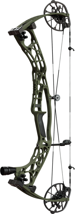 Hoyt compound deals bow