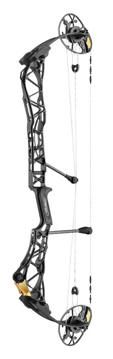 36 Best Bowfishing Bows ideas  bowfishing bows, bowfishing, bows