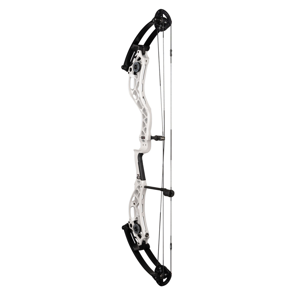Set Corde E Cavi Premium Per Arco Compound BowTech Bow Assassin SD, Modello Endless - Foto 2