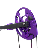 Bowtech Carbon Rose Compound Bow RAK Package