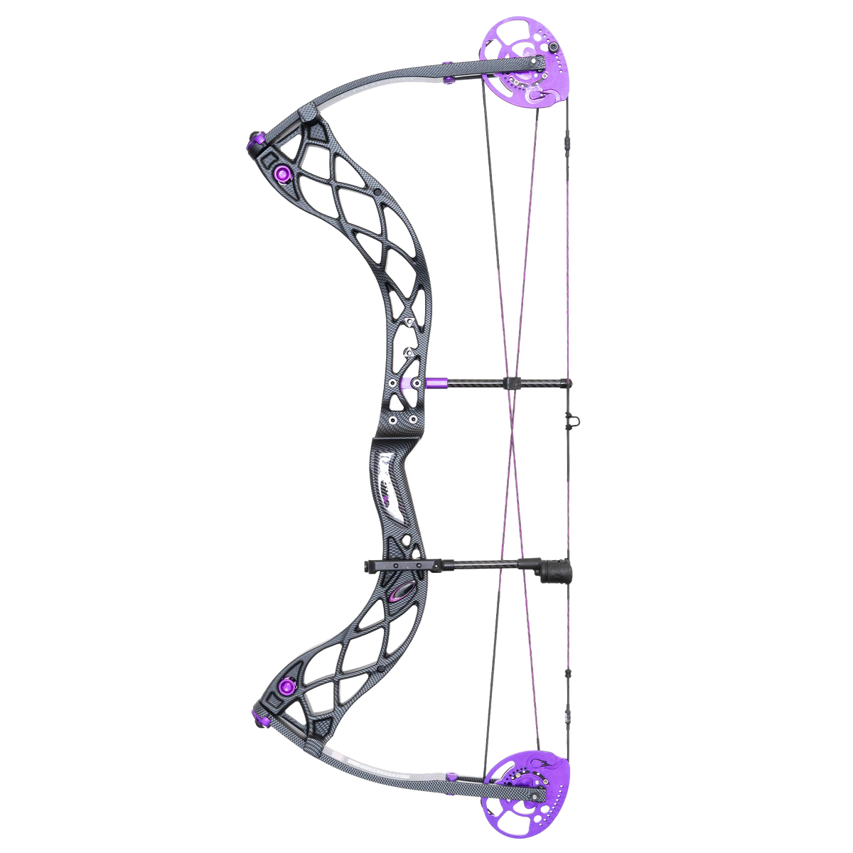 Bowtech Carbon Rose Compound Bow RAK Package Archery Source