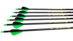 Furious Carbon Vane Arrows - 6 Pack