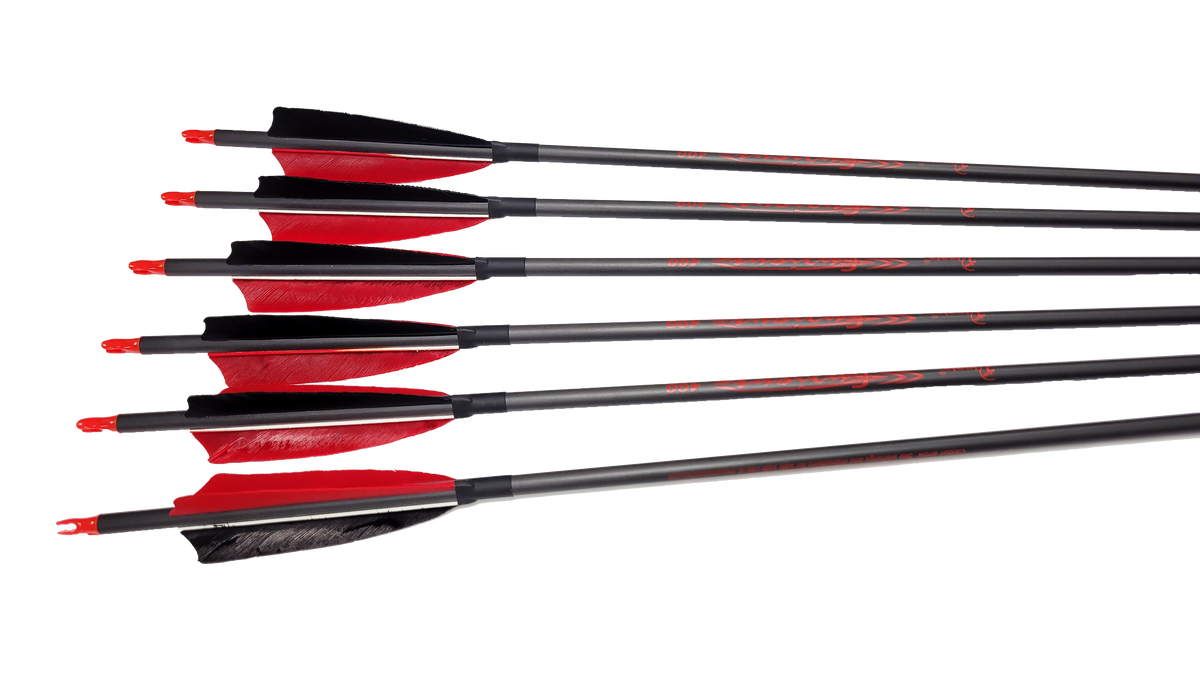 Pinals Furious Carbon Arrows Archery Source Shop Carbon Arrows