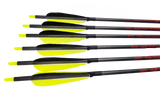Prefletched Carbon Feather Arrows - 6 Pack