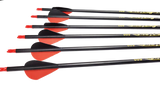 Furious Carbon Vane Arrows - 6 Pack
