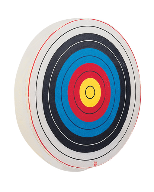 Foam archery targets deals