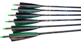 Carbon Express Predator II 6.2 Feather Arrows