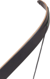 SPG Takedown Recurve Limbs
