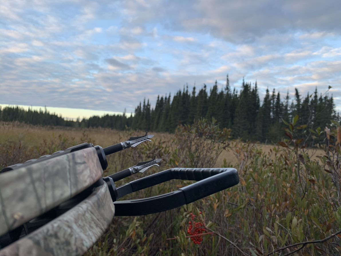 Excalibur - Archery Source - Shop all Excalibur Arrow Parts & More ...