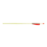 Carbon Express Sabre 2040 Youth Lighted Arrows (3 Pack)