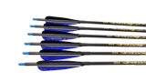 Samick Sage Recurve Bow - Upgraded package