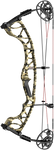 Hoyt Torrex XT Long Draw Compound Bow