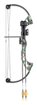 BEAR BRAVE COMPOUND BOW KIT