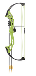 BEAR BRAVE COMPOUND BOW KIT