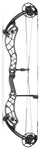 Bowtech Reckoning Gen2 36 Compound Bow (Long Cam)