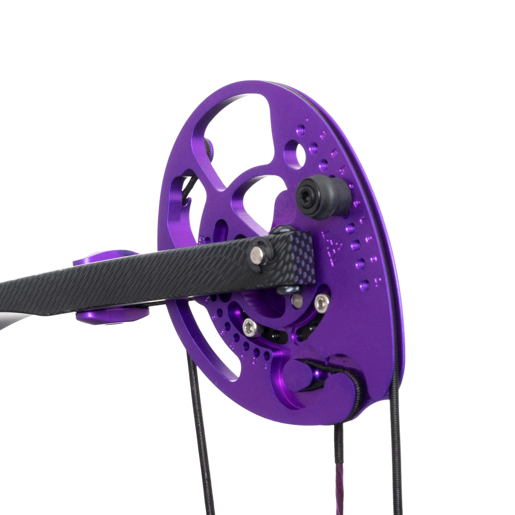 Bowtech Carbon Rose Compound Bow RAK Package - Archery Source ...