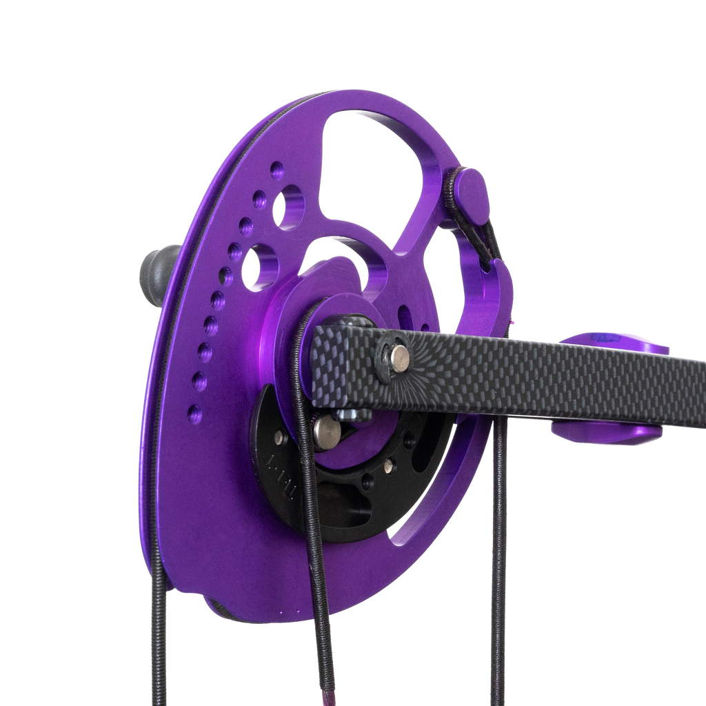 Bowtech Carbon Rose Compound Bow RAK Package Archery Source