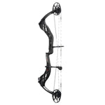 Bowtech Carbon Zion Compound Bow w/RAK pkg