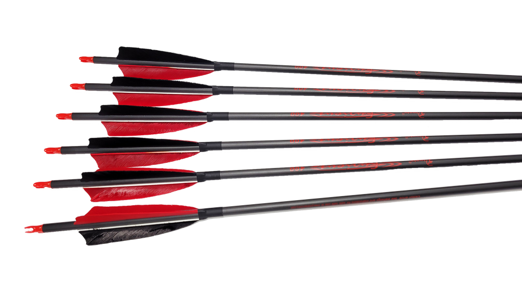 thumbnail image 2 of AMEYXGS Archery Carbon Arrows For Compound & Recurve Bows, 30 Inch Hunting Practice Arrows 12 Pack 5afdd454 Bf44 4d2c 80c9 F76769b27562.fc1bce61ef811fa3029dc4ece260966b 2 of 13