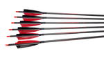 Furious Carbon Feather Arrows 400 Spine