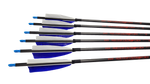 Furious Carbon Feather Arrows 400 Spine