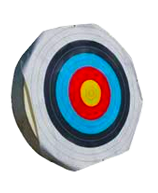 Powerlite Competition Target 36"x7"