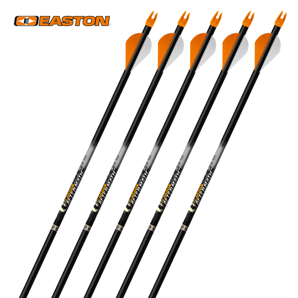 アーチェリーEASTON 履けれ CARBON AFTERMATH 12本