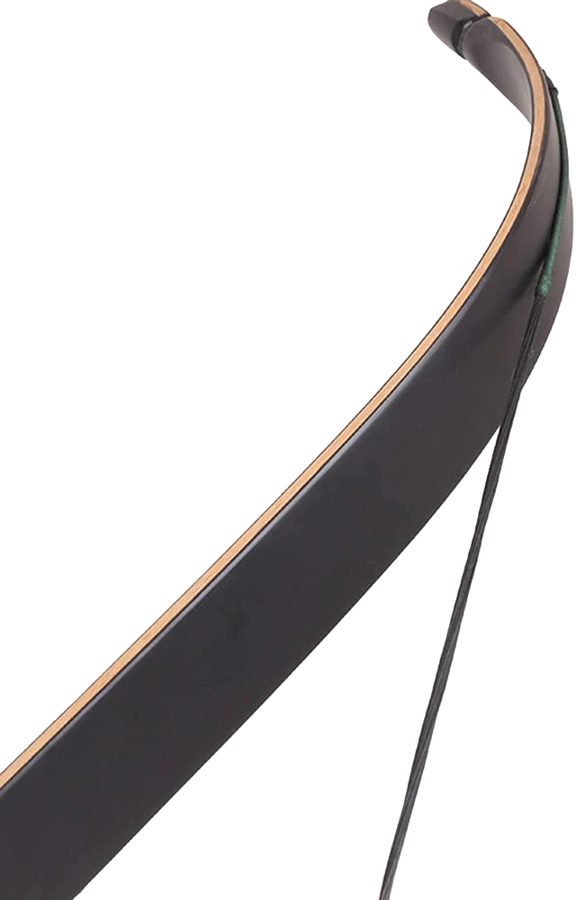 SPG Takedown Recurve Limbs Archery Source Shop all Recurves